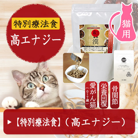 ドライ特別療法食「高エナジー」