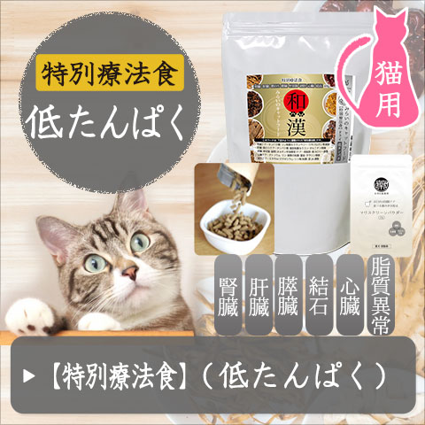 ドライ特別療法食「低タンパク」